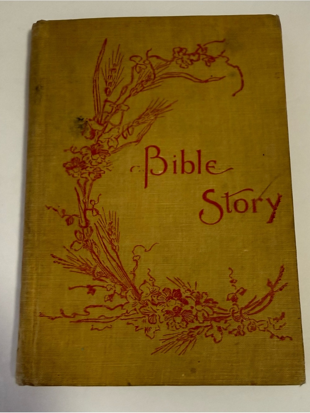 1913 Antique Bible Story Book Lutheran Church Dark Academia Shelf Decor